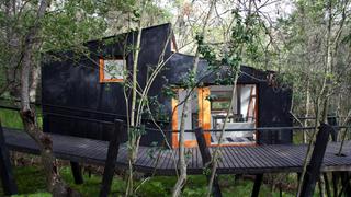 Recorre este exclusivo loft en pleno bosque de Chile | FOTOS