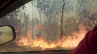 ¿Por qué se registran varios incendios forestales simultáneos en el país?