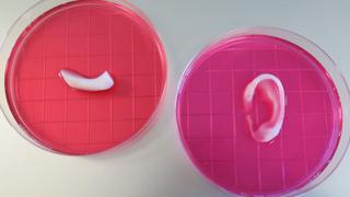 Desarrollan impresora 3D capaz de fabricar tejido para humanos