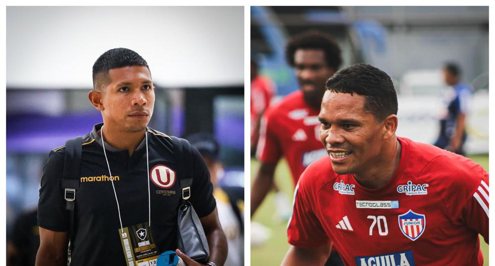 Edison Flores after statements by Carlos Bacca: “Surely we had to pull back”