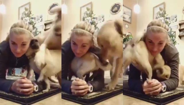 En Facebook, un peculiar video se hizo viral mostrando cómo dos perros se divierten olvidando la presencia de su dueña. Así reaccionaron los usuarios en las redes sociales. (Foto: Captura)