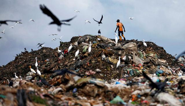 A man collects plastic for recycling in a garbage dump in Colombo, Sri Lanka June 9, 2017. REUTERS/Dinuka Liyanawatte     TPX IMAGES OF THE DAY