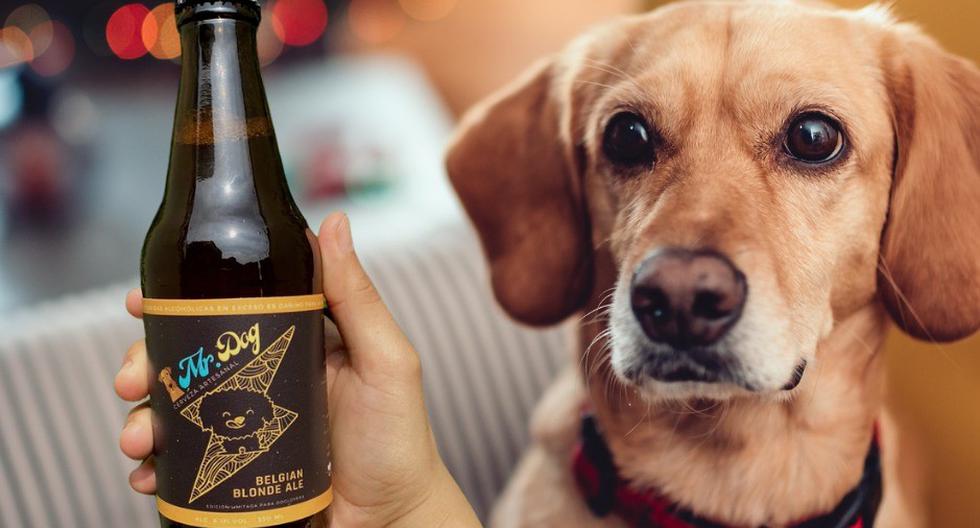 Do you have a dog and do you like craft beer?  There is a special edition for you