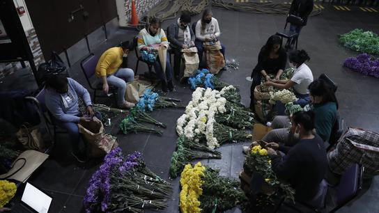 El Señor de los Milagros: preparación de alfombras