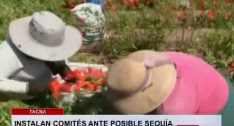 Fenómeno El Niño: Tacna implementa los comités ante posible sequía. (Foto: TV Perú)
