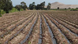 Día de la Tierra: Conoce tres principales beneficios del riego tecnificado en la agricultura