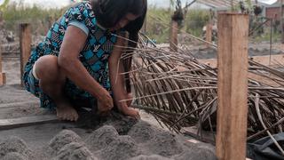 Loreto: el emprendimiento liderado por mujeres que salvó a las tortugas taricaya