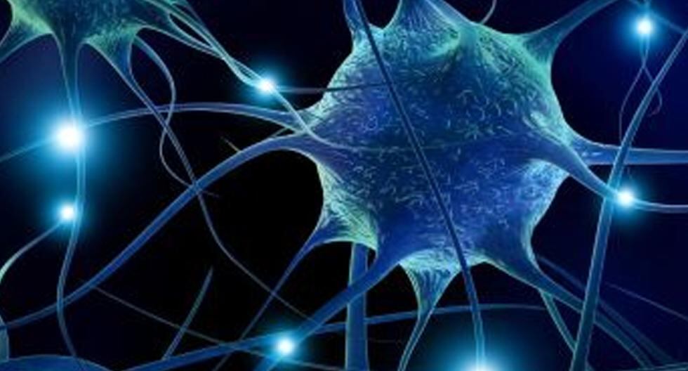 Un grupo de científicos desarrolló en un laboratorio una sinapsis artificial que puede simular funciones fundamentales del sistema nervioso del ser humano. (Foto: Getty Images)