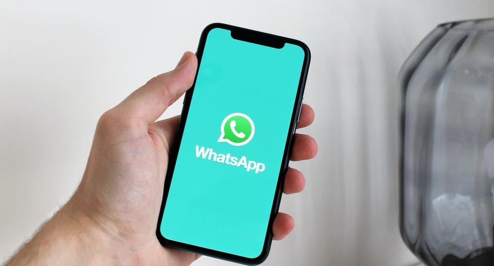 WhatsApp: How to restore your information to another mobile phone if you run out of Drive space |  Data