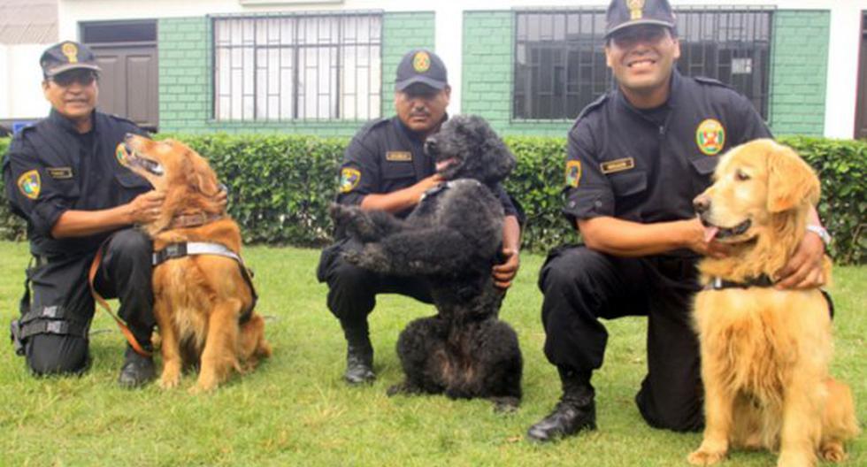 Canes apoyan en búsqueda de desaparecidos. (Foto: Andina)