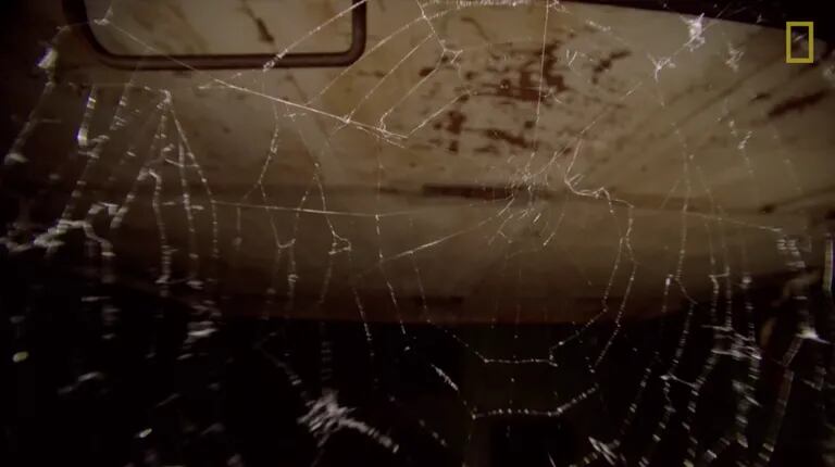 An irregular spider web in Chernobyl.