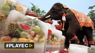 El elefante, símbolo de Tailandia, celebró su día mundial