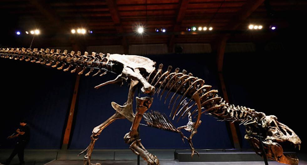 Científicos mexicanos descubrieron una nueva especie de dinosaurio después de una década de investigaciones en el desierto del norteño estado de Coahuila. (Foto: Getty Images)
