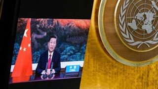 El “importante” anuncio del presidente de China en la ONU con posibles implicaciones para el destino del planeta