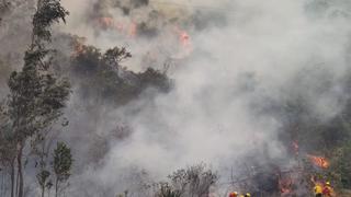 Cusco: incendio forestal en Machu Picchu ya ha afectado más de 40 hectáreas en el sector Llamakancha 