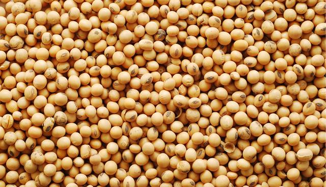 El consumo habitual de soya ayuda a controlar el nivel de colesterol en la sangre y es un aliado contra las enfermedades del corazón. (Foto: Shutterstock)