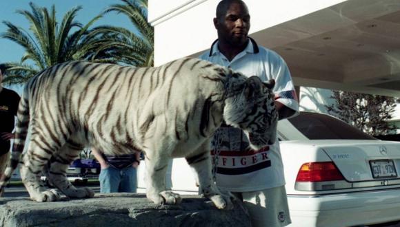 Tyson reveló cómo compró a sus tres tigres de Bengala.