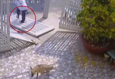 YouTube: intentó robar, le salió todo mal y terminó con el tobillo roto (VIDEO)