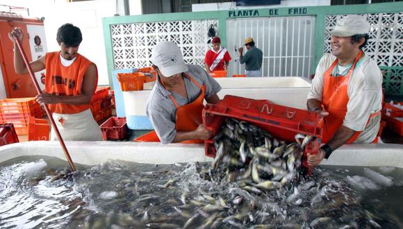 Produce promocionará la comercialización de 2,220 toneladas de productos hidrobiológicos. (Foto: GEC)