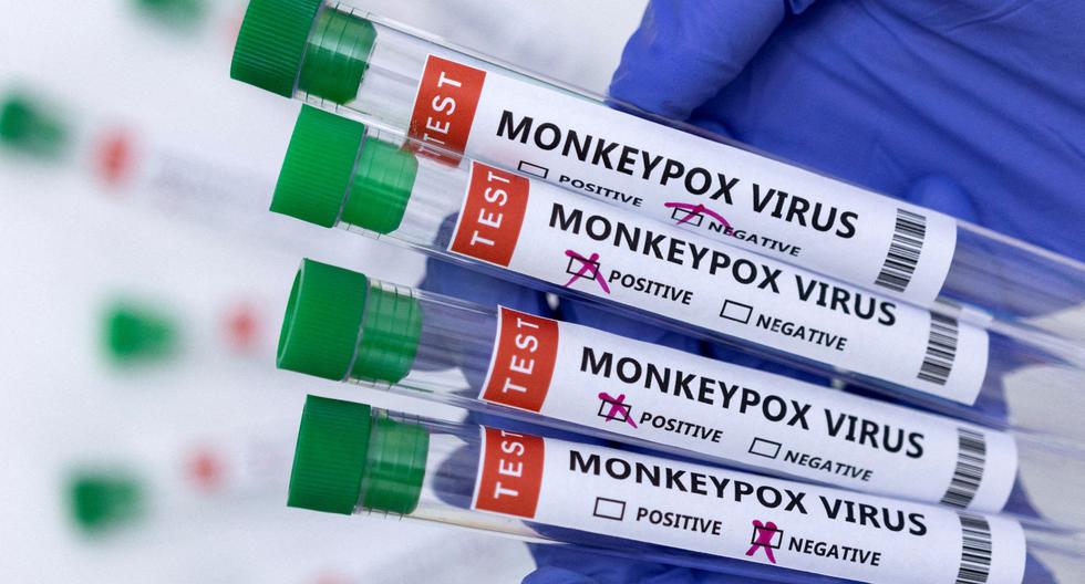 Monkeypox: confirmation of community transmission of the disease