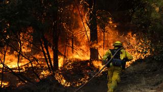 Incontenible incendio forestal obliga a evacuar a unas 2 mil personas en Colorado