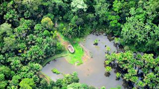 Perú: la metodología científica que ayudó a proteger casi 6 millones de hectáreas de bosque en Loreto