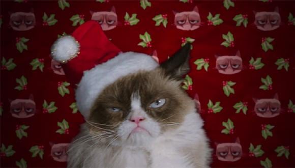 Grumpy Cat: mira el primer tráiler de su película