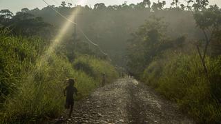 Estudiarán biodiversidad en zona donde FARC tenía presencia