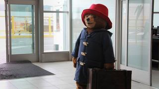 ¡Paddington 2016!, por Jota Daniels