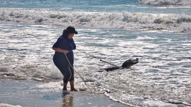 Cocodrilo fue atrapado en playa de EE.UU. cerca de bañistas - 5