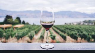 Cabernet Sauvignon: 10 cosas que no sabías sobre el rey de los vinos tintos