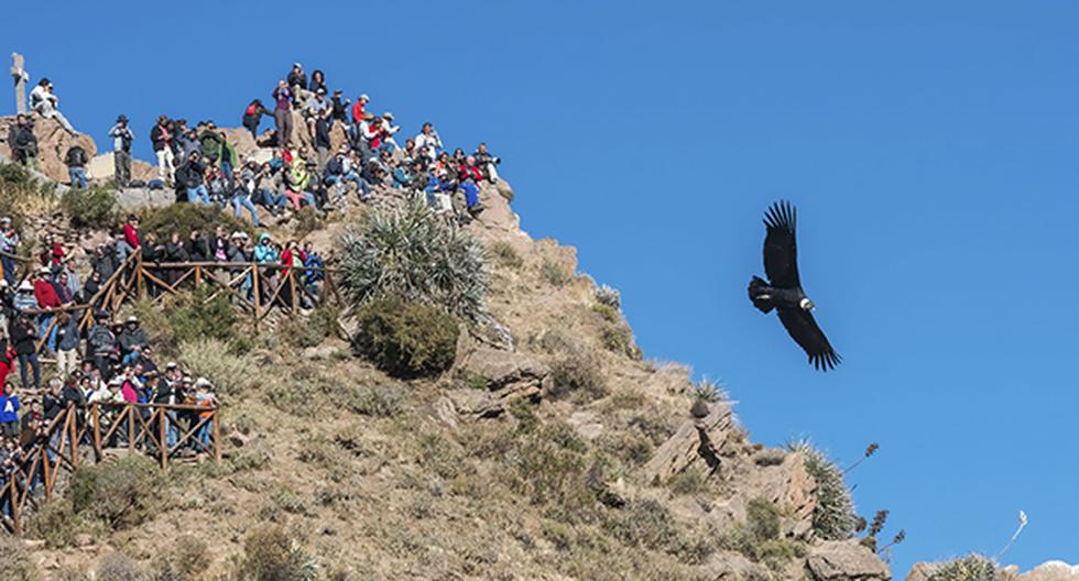 Anímate a visitar Arequipa. (Foto: IStock)