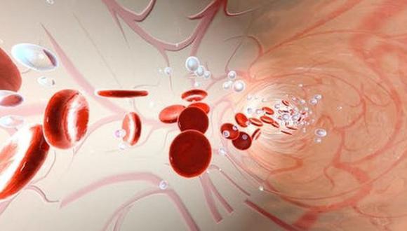 Recreación de moléculas de oxígeno y eritrocitos flotando en un vaso del torrente sanguíneo. (Imagen: Shutterstock)