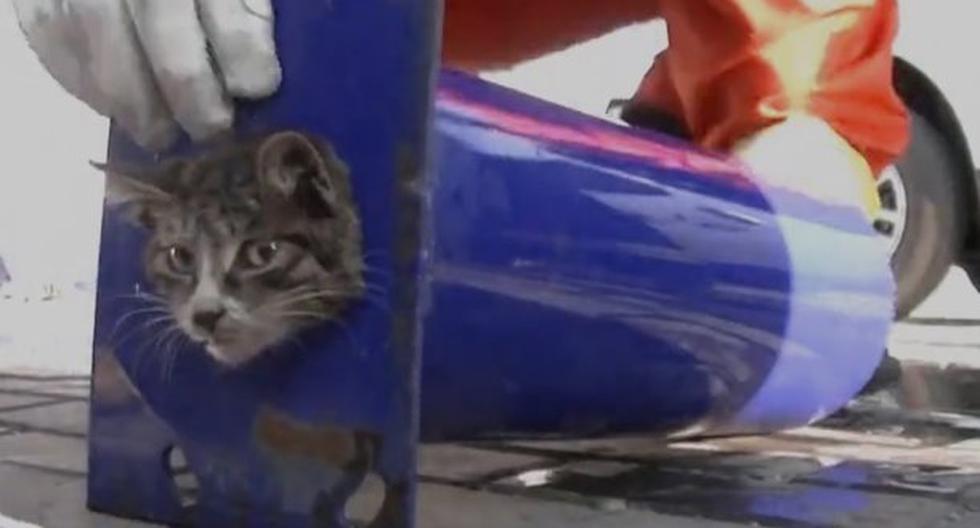Bomberos chinos salvan a un gato atrapado en un tubo y se convierten en estrellas de YouTube. (Foto: Captura YouTube)
