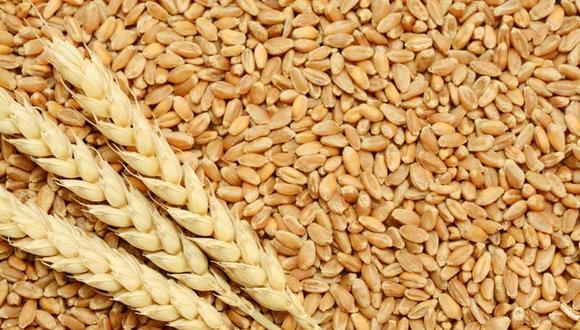 No habrá escasez de trigo, de acuerdo al Midagri. (Foto: GEC)