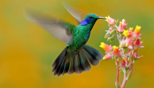 (Foto: Shutterstock)