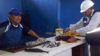 Chimbote: decomisan carne de delfín que se vendía en mercado