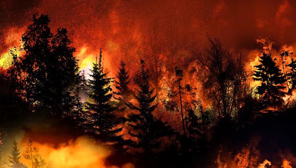 Cerca del 30% de los incendios forestales de California entre 1987 y 2020 fueron iniciados por rayos. (GETTY IMAGES)