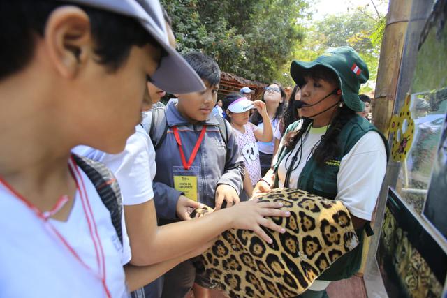 Cumpleaños de la hipopótamo Sol y la otorongo Isabel, del Parque de las Leyendas (Foto: Jessica Vicente).