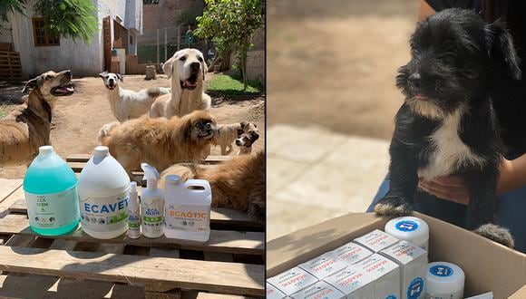 En septiembre de 2021, Lab ECA se unió a WUF para contribuir con crear un mundo mejor para los perros en estado de abandono.