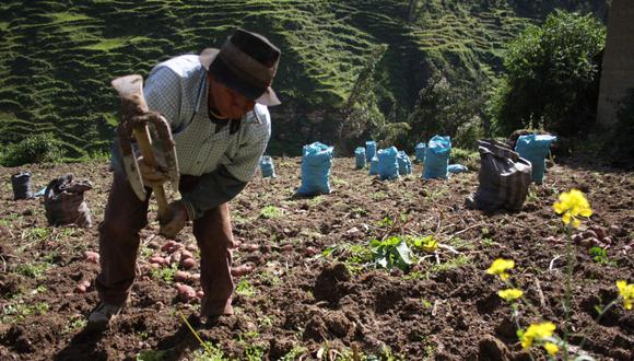 La crisis alimentaria afecta a todo el sector agrario, principalmente a los pequeños productores, quienes vienen luchando día a día por subsistir, sostuvo AGAP. (Foto: GEC)