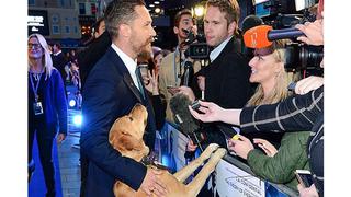 Tom Hardy promueve la adopción con Woody