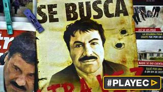 Caza de El Chapo Guzmán: decomisan 11 avionetas y 5 vehículos