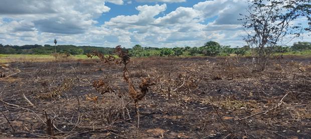 Terrible panorama por la quema de rastrojos agrícolas (Crédito: Chesira Mishel Meza Jacinto).