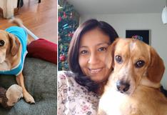 WUF: perro que fue regresado al albergue después de ser adoptado al fin encuentra un hogar