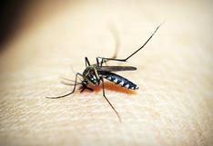Cierto tipo de ferroportina puede proteger contra la malaria, según estudio