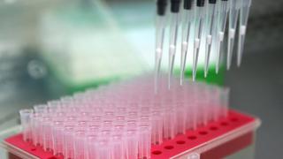China: modifican embriones humanos para hacerlos inmunes al VIH