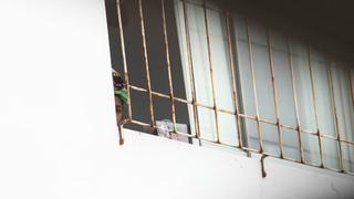 Defensoría Pública denuncia mala gestión en albergues para niñas víctimas de trata
