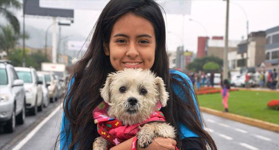 Municipalidad de Surco realizará reempadronamiento de canes en el distrito. (Foto: Andina)