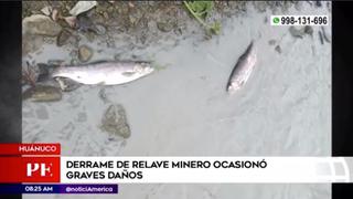Huánuco: derrame de relave minero genera graves daños ambientales